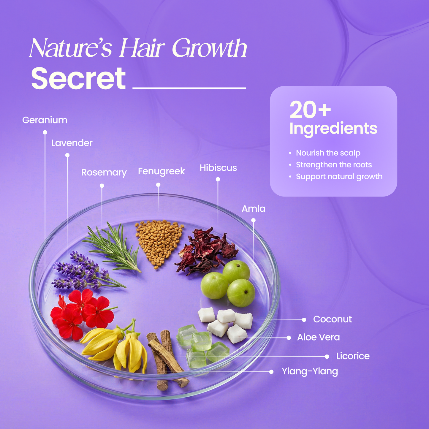 Rosemary Premium Hair Oil - 200ml