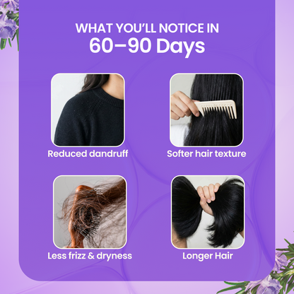 Hair Care Kit(Hair Oil + Shampoo + Conditioner)