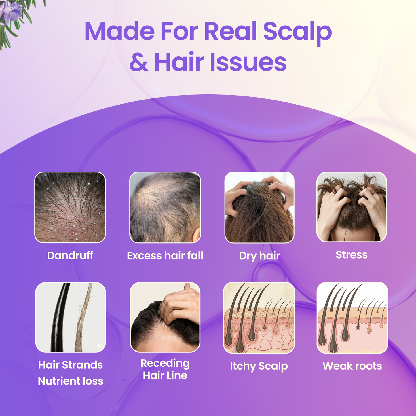 Premium Hair Care Kit (Hair Oil + Shampoo + Conditioner + Hair Growth Spray (200 ml + 200 ml + 200 ml + 100 ml)