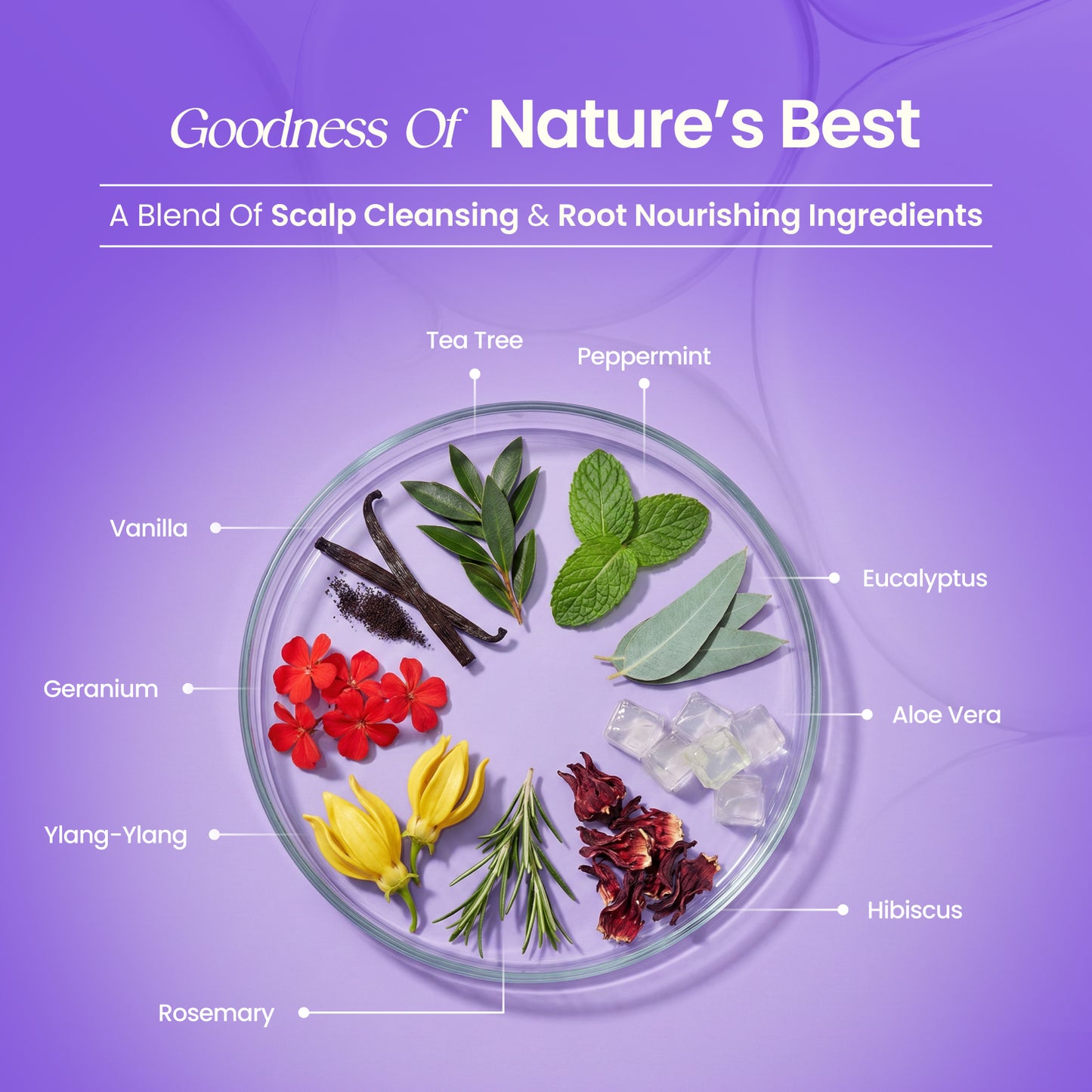 Hair Oil + Shampoo (200 ml + 200 ml)